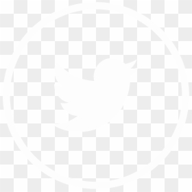 Twitter Icon Gray Circle , Png Download - Twitter Rounded Icon Png, Transparent Png - gray circle png