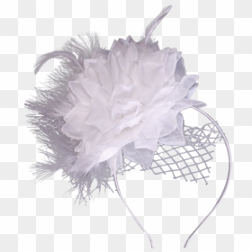 Png White Feathers Transparent, Png Download - white feather png