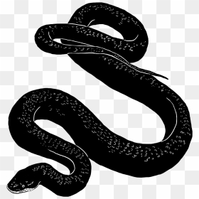 Manelwatta Temple, HD Png Download - black snake png