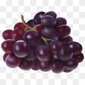 Imagem De Frutas, HD Png Download - imagem png