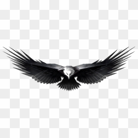 Download Free Eagle Png Transparent Images Transparent - Eagle Logo Transparent Background, Png Download - eagle wings png