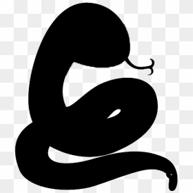Snake Silhouette Black Drawing - Black Snake Silhouette Transparent, HD Png Download - black snake png