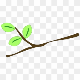 Twig Clipart, HD Png Download - twigs png