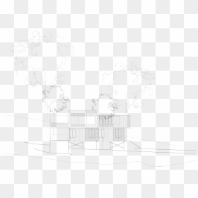 West Elevation, HD Png Download - tree elevation png