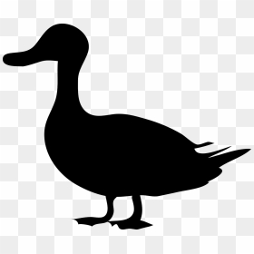 Duck Silhouette, HD Png Download - black bird png