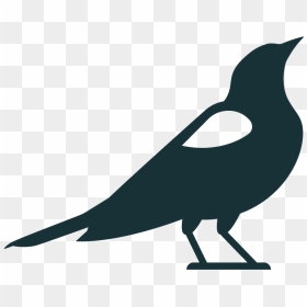 Blackbird, HD Png Download - black bird png