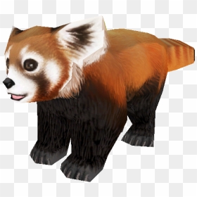 Red Panda Bear Giant Panda Fur Snout - Zoo Tycoon Red Panda, HD Png Download - red panda png