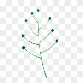 Calligraphic Illustration Leaf, Twig, Plant 1 Clip - Christmas Tree, HD Png Download - twigs png