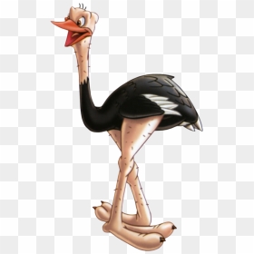 Ostrich Png Picture - Ostrich Clipart Png, Transparent Png - ostrich png
