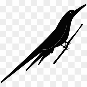 Bird Clip Arts - Vector Graphics, HD Png Download - black bird png