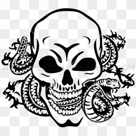 Skull Snake Drawing At Getdrawings - Skull With Snakes Transparent, HD Png Download - black snake png