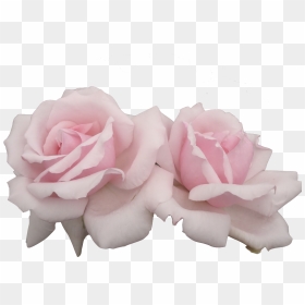Pink Flowers Pastel Rose - Aesthetic Pink Flower Png, Transparent Png - pastel flowers png