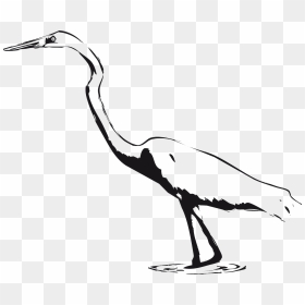 Whooping Crane Clip Art, HD Png Download - swamp png
