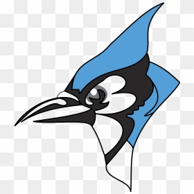 Is This An Even Better Toronto Blue Jays Logo - Hopkins Blue Jay Png, Transparent Png - toronto blue jays logo png