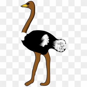 Ostrich Clip Arts - Ostrich Clipart Black And White, HD Png Download - ostrich png