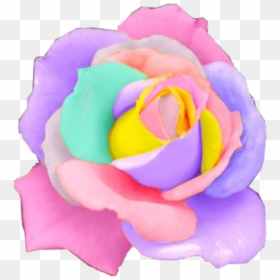 Library Of Pastel Flower Graphic Freeuse Download Transparent - Rainbow Rose, HD Png Download - pastel flowers png