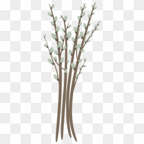 Willow Catkin Willow Branch Twig Free Photo - Catkins Png, Transparent Png - twigs png