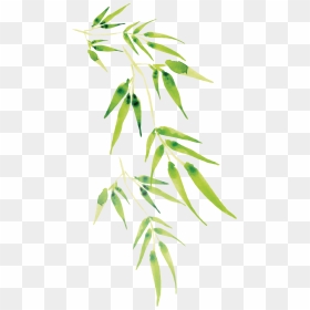 Cartoon Transparent Bamboo, HD Png Download - twigs png