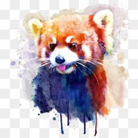 Bleed Area May Not Be Visible - Red Panda Watercolour Png, Transparent Png - red panda png