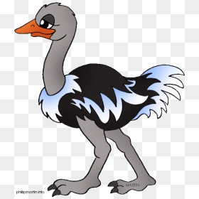 Cartoon Picture Of Ostrich - Clip Art Ostrich, HD Png Download - ostrich png