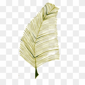 Calligraphic Illustration Leaf, Twig, Plant 2 Clip - Roystonea, HD Png Download - twigs png