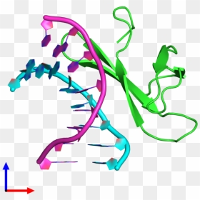 Pdb 4r55 Coloured By Chain And Viewed From The Front - Graphic Design, HD Png Download - ball and chain png