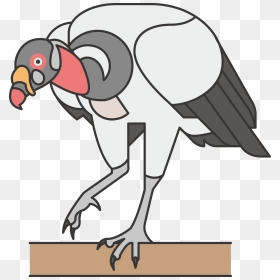 Common Bird Lineated Woodpecker Icon Transprent Png - Common Ostrich, Transparent Png - ostrich png