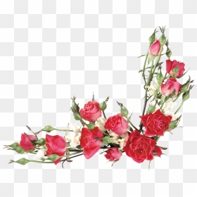 Transparent Spring Flower Bouquet Clipart - Red Flowers Transparent Background Png, Png Download - imagem png