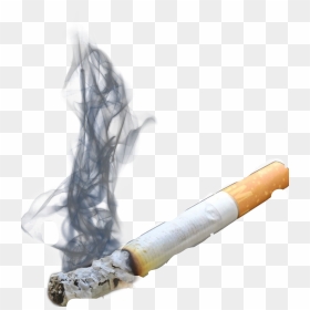 Cigarette With Smoke Png, Transparent Png - lit cigar png