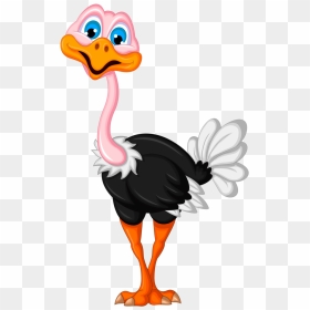 Png Pinterest Rock - Ostrich Clipart Transparent Background, Png Download - ostrich png
