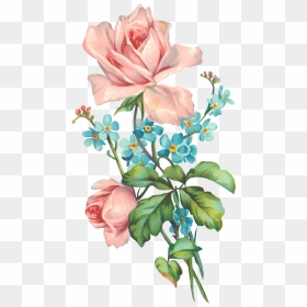 Old Rose Flower Png, Transparent Png - pastel flowers png