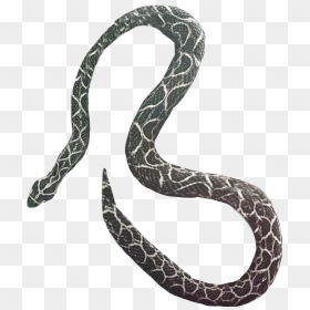 Picsart Snake Editing Png, Transparent Png - vhv