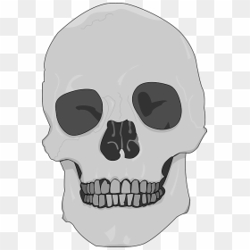 Tengkorak Hitam Putih Png, Transparent Png - white skull png