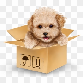Cowgirl With A Puppy 5 - Dog, HD Png Download - cowgirl png