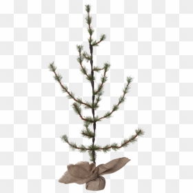 Decorative Tree Larix - Christmas Tree, HD Png Download - decorative shapes png