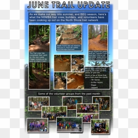 Tree, HD Png Download - dirt path png