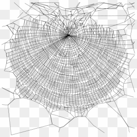 Nephila Clavipes Web, HD Png Download - spider webs png