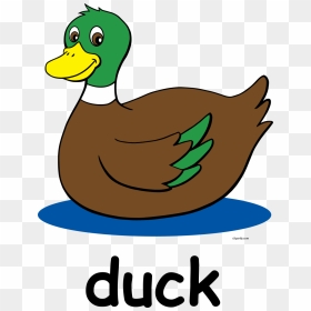 Duck Clipart For Kids, HD Png Download - school clipart png