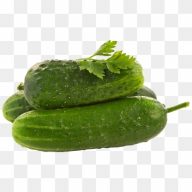 Cucumber Png, Transparent Png - pickles png