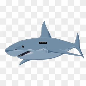 White Great Shark Clipart, HD Png Download - sharks png