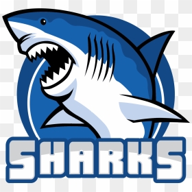 Bq Tball Teamlogo V05 Sharks1 - Blue Sharks Team Logo, HD Png Download - sharks png