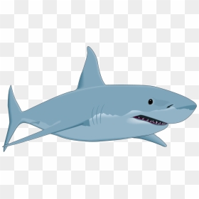 Collection Of Sharks - Great White Shark Animated, HD Png Download - sharks png