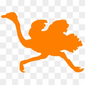 Common Ostrich Silhouette Png, Transparent Png - ostrich png