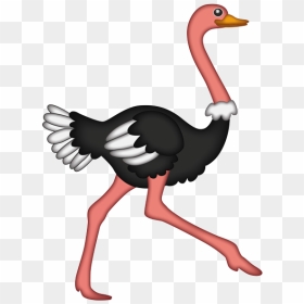 Ostrich, HD Png Download - ostrich png