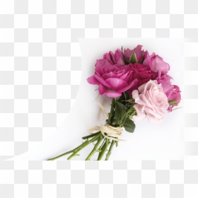 Garden Roses, HD Png Download - wedding flowers png