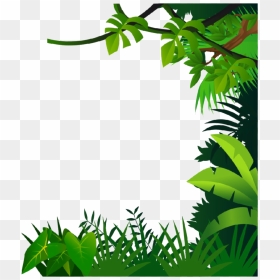 Jungle Frame Clipart - Transparent Jungle Clipart, HD Png Download - jungle vine png