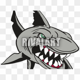 Shark Clipart Mean - Mako Shark Drawing, HD Png Download - sharks png