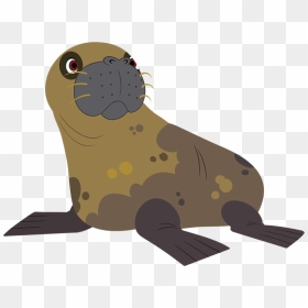 Wild Kratts Drawing Animals, HD Png Download - walrus png