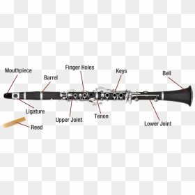 Piccolo Clarinet , Png Download - Parts Of Clarinet Transparent, Png Download - clarinet png