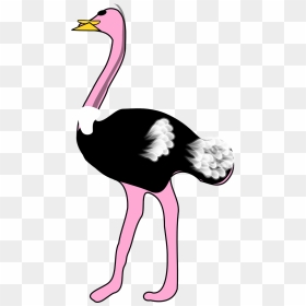 Ostrich Cliparts, HD Png Download - ostrich png